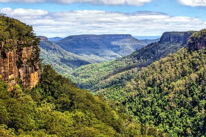 A Day In The Vineyards || Luxury Private Winery Tour From Sydney - An Authentic Day in the Southern Highlands