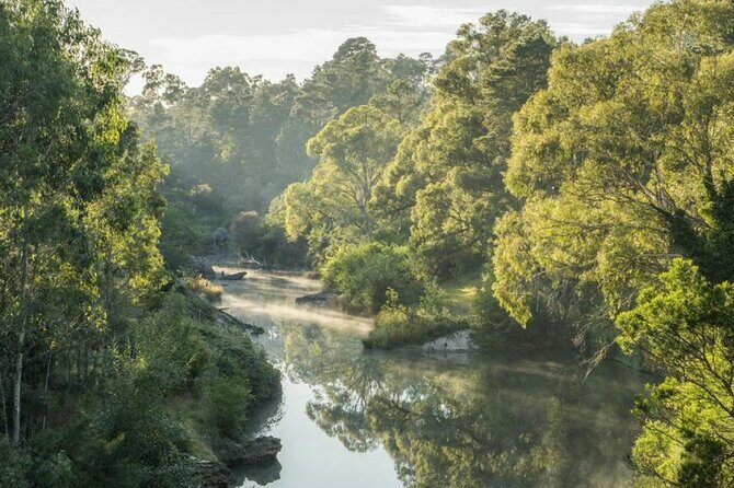 A Day In The Vineyards || Luxury Private Winery Tour From Sydney - The Practical Side: Pricing, Duration, and Logistics