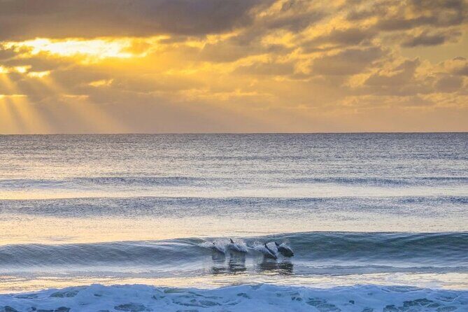 A Day In The Vineyards || Luxury Private Winery Tour From Sydney - The Sum Up