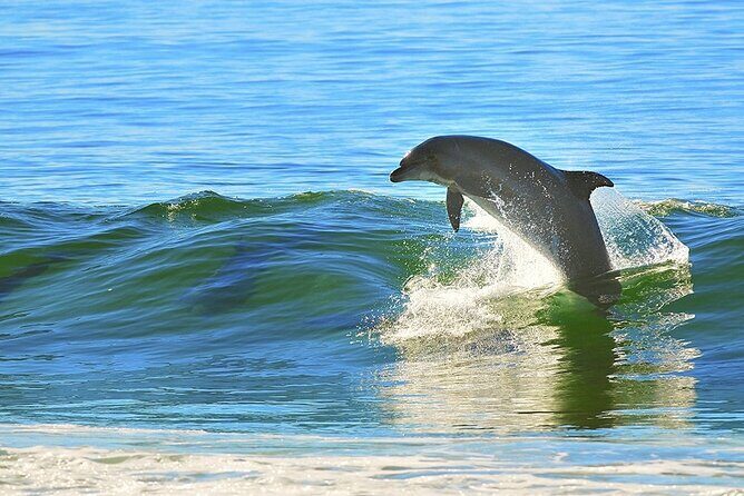 A Day on the Bay - A Relaxing Day on Tampa Bay: Exploring "A Day on the Bay" Cruise