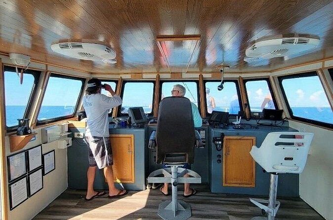 A Day on the Bay - Practical Details: Making the Most of Your Tour