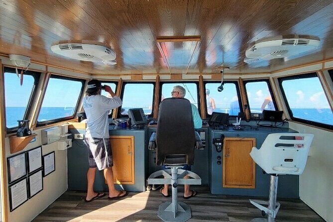 A Day on the Bay - Who Should Take This Tour?