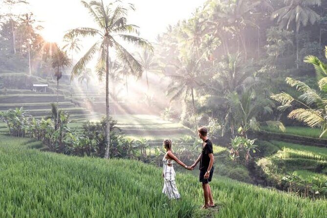A Day Tour in Ubud - Waterfall, Temples & Swing - Introduction to the Tour Experience