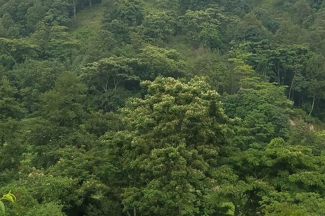 A day tour to Paanchmane Hill - Frequently Asked Questions