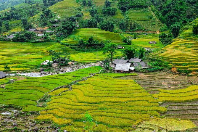 A day Trek to Rice Field in LaoChai-Tavan village-MuongHoa valley - Exploring the Rice Fields of Muong Hoa Valley: A Day Trek Review