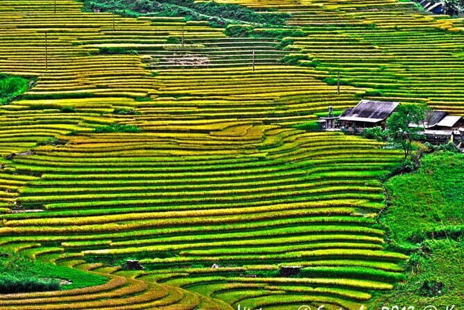 A day Trek to Rice Field in LaoChai-Tavan village-MuongHoa valley - Final Thoughts