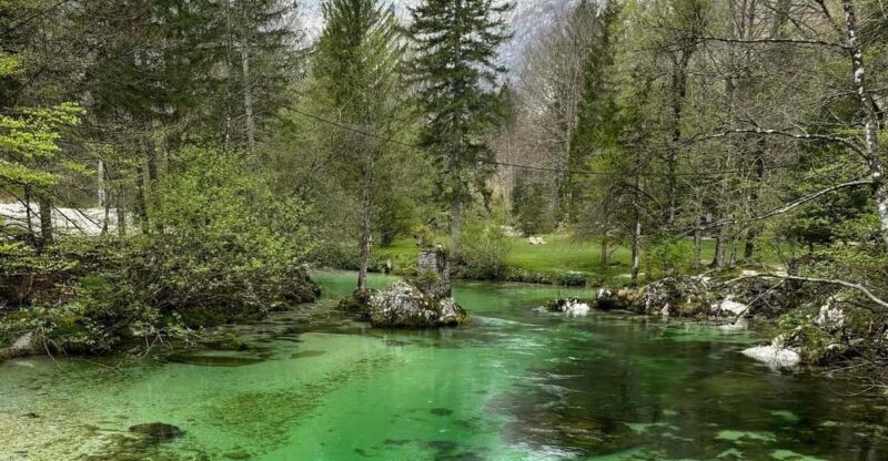 A day trip from Ljubljana: Magical nature and lake Bohinj - An In-Depth Look at the Experience