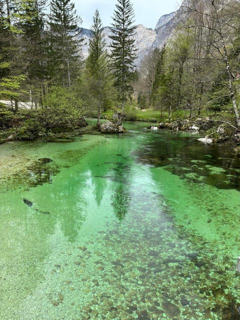 A day trip from Ljubljana: Magical nature and lake Bohinj - What We Love & Consider