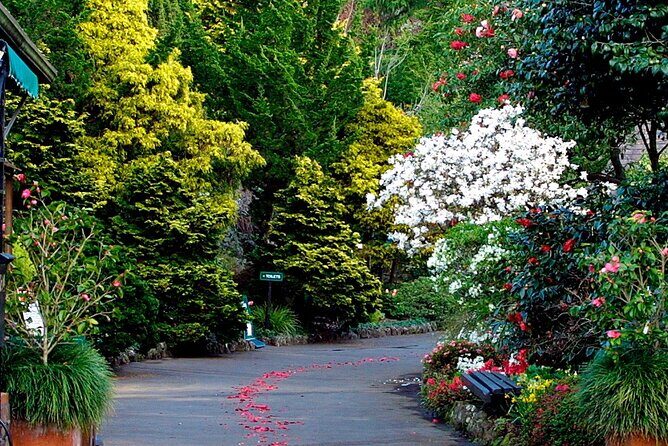 A Day Trip in Auckland City - The Sum Up