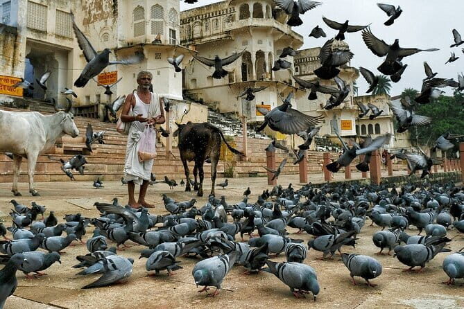 A Day Trip of Pushkar From Jaipur with Guide Service - What the Tour Includes and What to Keep in Mind