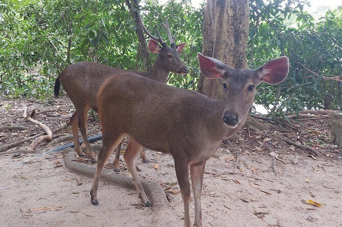 A Day Trip To Phnom Chisor - Tonle Batti From Phnom Penh - FAQ