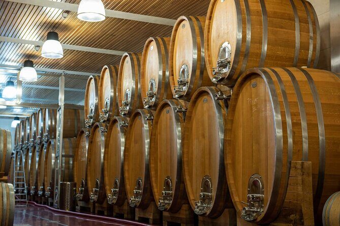 A delightful wine tasting in the scenic countryside with lunch - An In-Depth Look at the Tour Experience