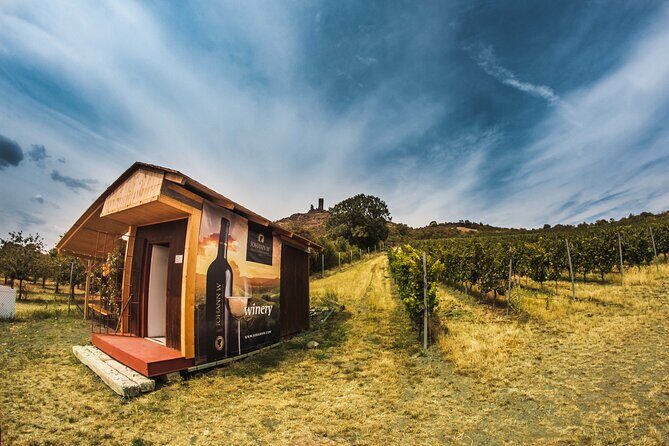 A delightful wine tasting in the scenic countryside with lunch - FAQ