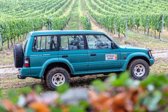 A delightful wine tasting in the scenic countryside with lunch - Final thoughts