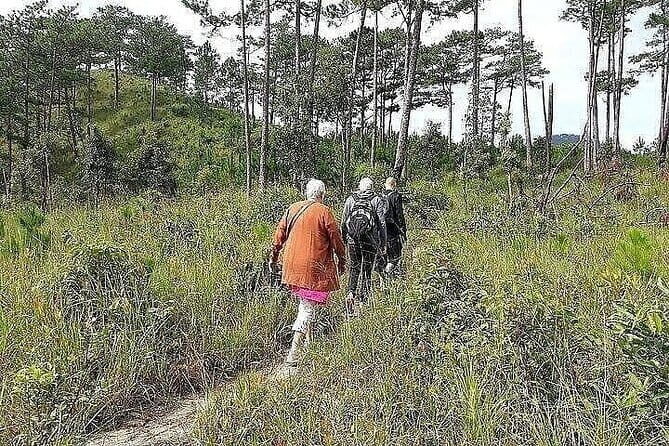 A full day trip From Nha Trang To Da Lat Or Vice Versa - Final Thoughts