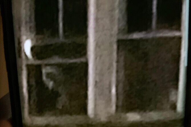 A Ghost Hunting Tour Specters and Apparitions in Salem - Who Would Enjoy This Tour?