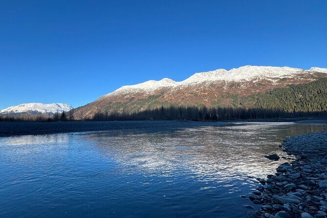 A Guided Alaskan Escape: Wildlife Sanctuary and Glacier Hiking - Introduction: What You Need to Know