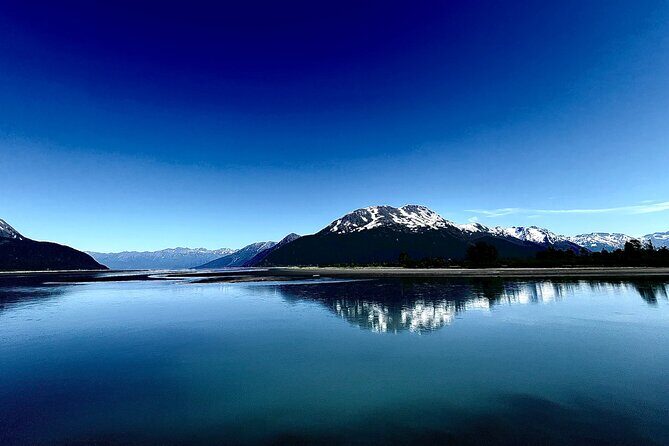 A Guided Alaskan Escape: Wildlife Sanctuary and Glacier Hiking - Final Verdict