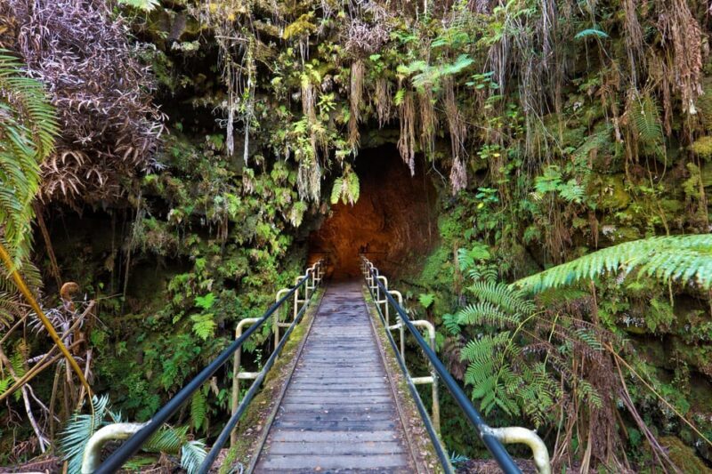 A Guided Hike Adventure: Kilauea Iki Crater and a Lava Tube - Key Points