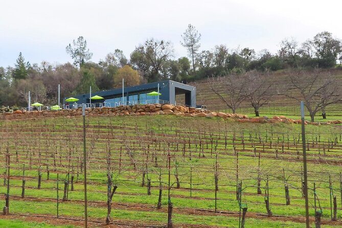 A Highway 49 Drive: A Self-Guided Audio Tour from Placerville to Jackson - Amador Flower Farm and Bunker Hill