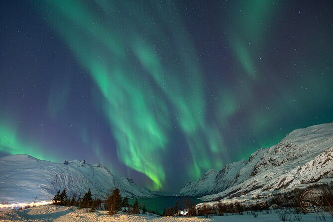 "a journey in search of the Northern Lights" | Private - Final Thoughts: Who Will Love This Tour?