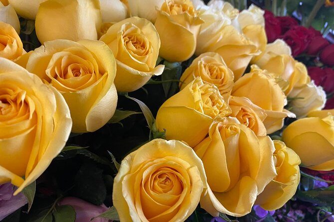 A Mexican Cooking Class - The Sum Up