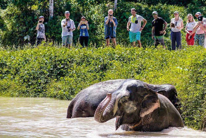 A Morning with the Elephants at Phuket Elephant Sanctuary - FAQ