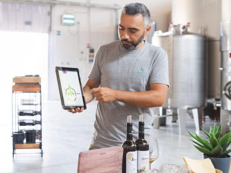 A morning with the Winemaker - An In-Depth Look at the Experience