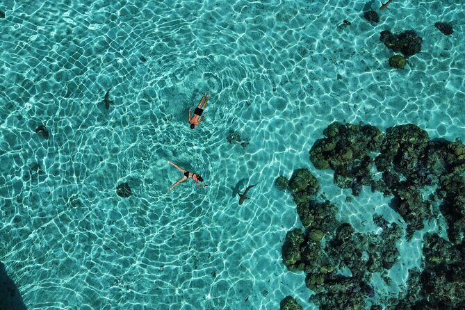 A private tour with Blue Lagoon - Who Should Consider This Tour?