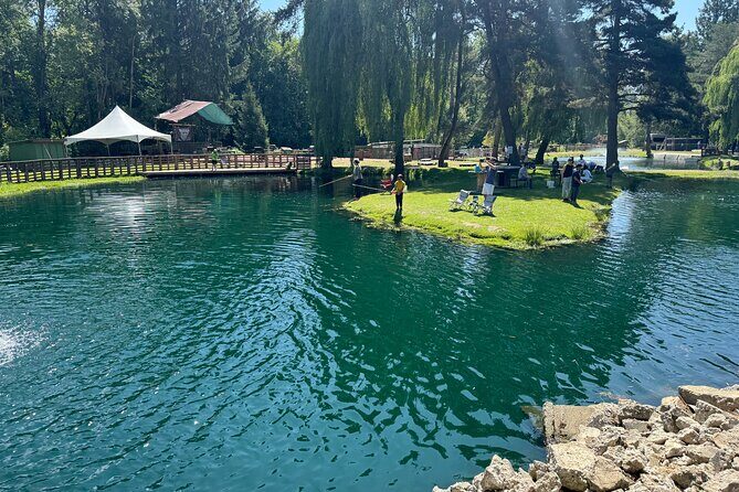 A Relaxing Day of Fishing and Fresh BBQ - What to Expect on This Farm Day Adventure