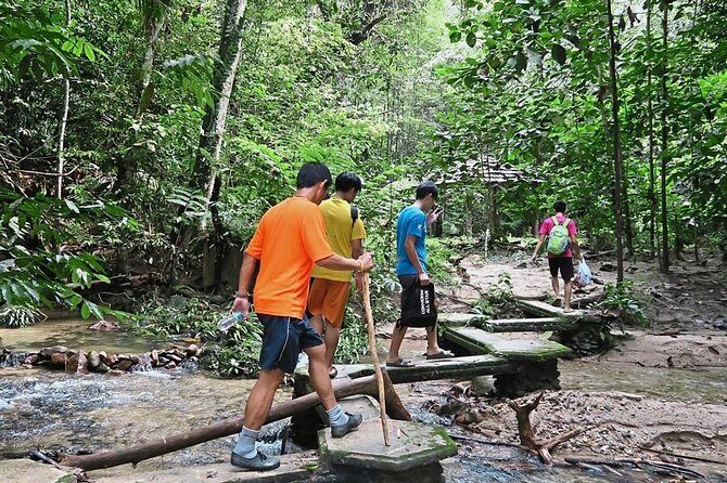 A Rendezvous with Nature - Templer Park and Kanching Waterfall Tour - Who Is This Tour Best Suited For?