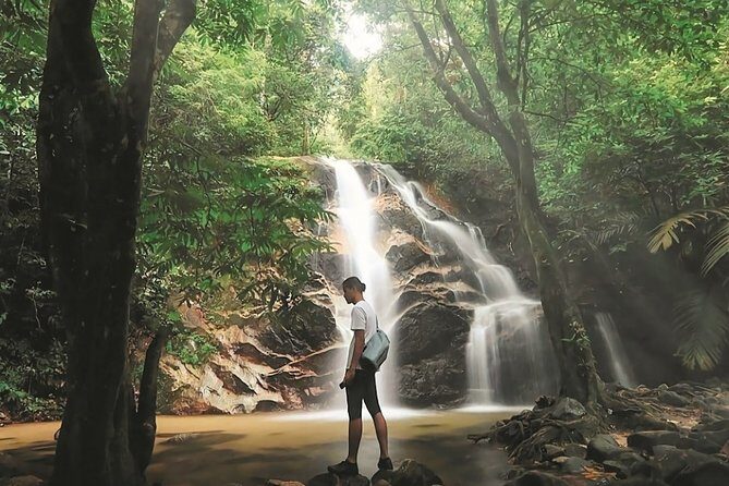 A Rendezvous with Nature - Templer Park and Kanching Waterfall Tour - The Sum Up