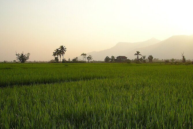 A Rice Journey in Luang Prabang - Key Points