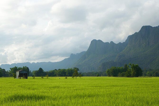A Rice Journey in Luang Prabang - What to Expect from the Tour