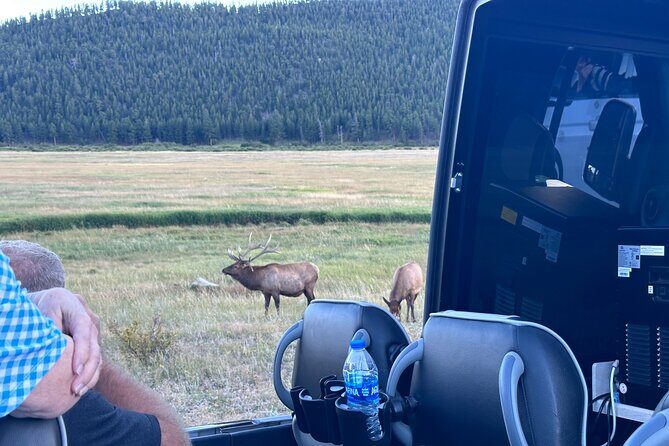A Rutin' Good Time; Elk Tour in Rocky Mountain National Park - Final Thoughts: Is It Worth It?