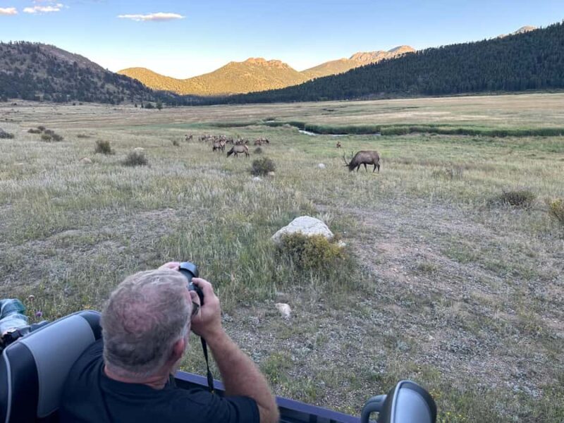 A Ruttin' Good Time - A Ruttin’ Good Time: An Authentic Look at Rocky Mountain Elk Mating Season