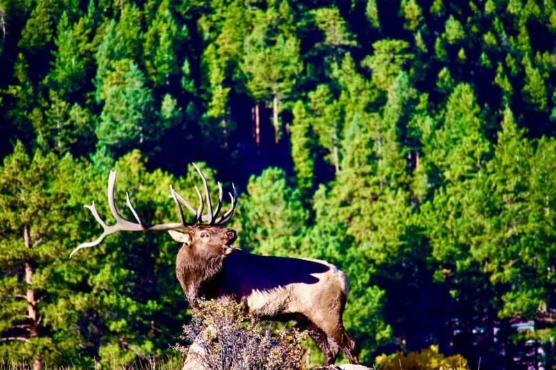 A Ruttin' Good Time - Key Points