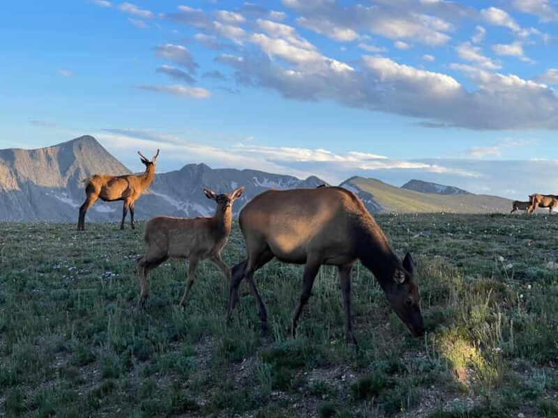 A Ruttin' Good Time - Final Thoughts: Is This Tour Worth It?