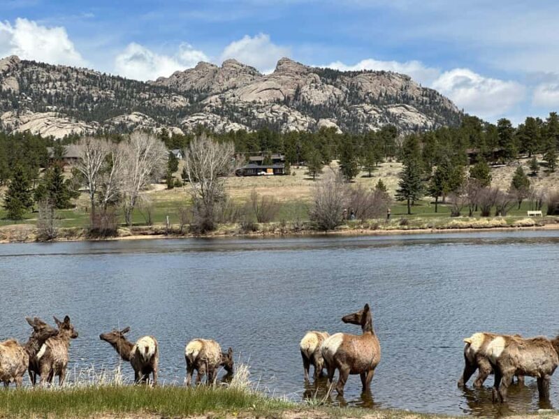 A Ruttin' Good Time - FAQ