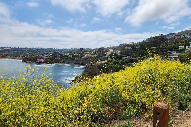 A Seaside Stroll: La Jolla's Hidden Treasures Self-Guided Tour - The Sum Up