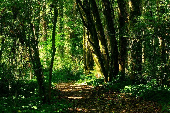 A Secret Romantic Adventure In Krabi  Kayaking, Beach picnic & Forest Hike - FAQs