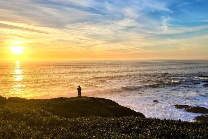 A Self-Guided Audio Tour Around Bodega Head - An In-Depth Look at the Bodega Head Audio Tour
