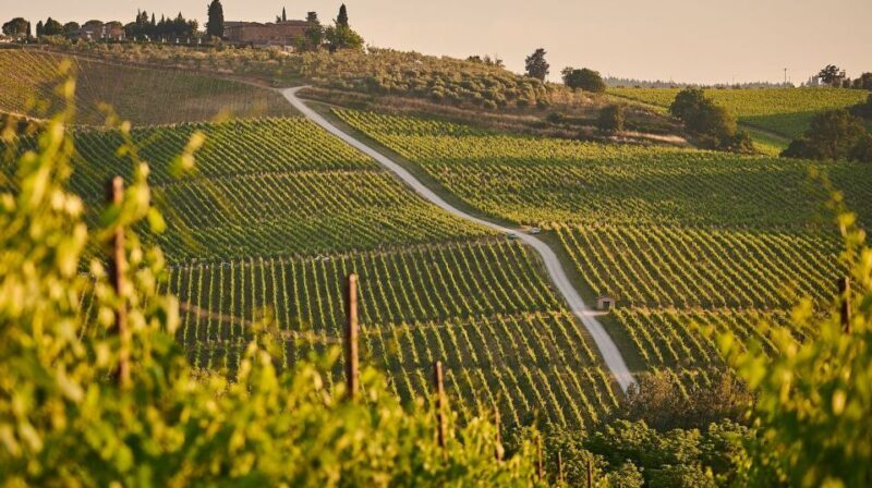 A Sip-By-Sip Tour of 3 Boutique Family Rioja Wineries - Who Will Love This Tour?