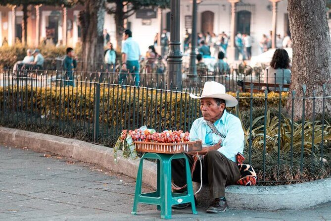 A Taste of Hidden Mexico City - Authentic Feedback & Insights