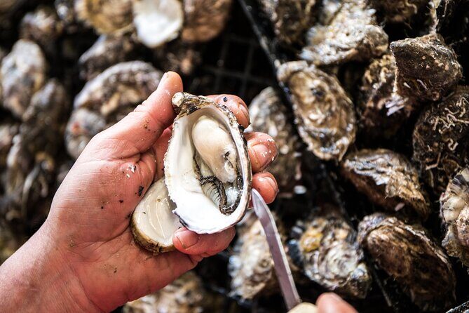 A Taste Of Kangaroo Island - FAQ