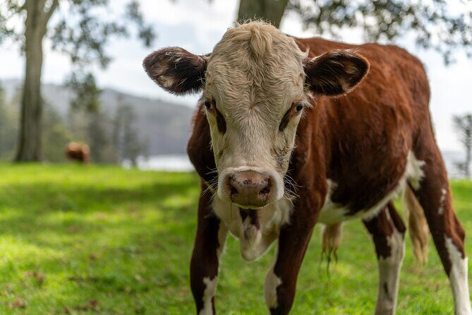 A Taste Of Norfolk - In-Depth Look at the Tour