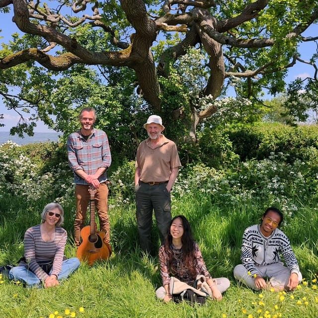 A Tour of Glastonbury - Guided by the Trees - Who Should Consider This Tour?