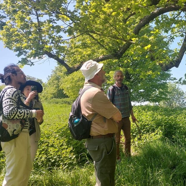 A Tour of Glastonbury - Guided by the Trees - Final Verdict