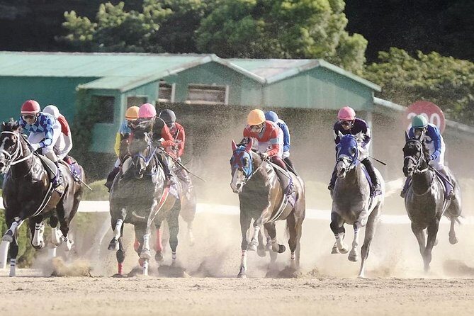 A tour to enjoy Japanese official gambling (horse racing, bicycle racing, pachinko) - Key Points