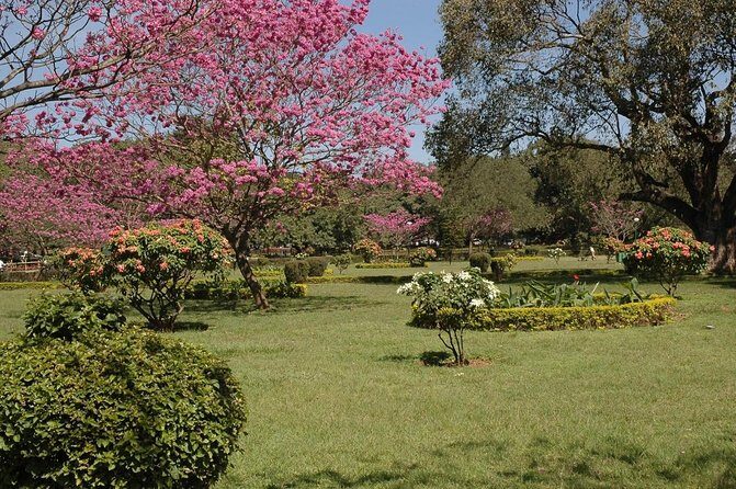 A Trail Through Parks Of Bangalore - Exploring Bangalore’s Green Heritage: Lalbagh and Cubbon Park in Focus